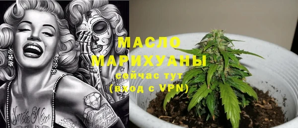 метадон Алексин