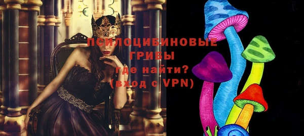 метадон Алексин