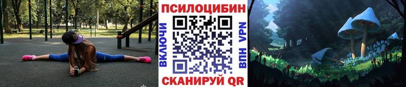 Галлюциногенные грибы Psilocybe  Болгар 